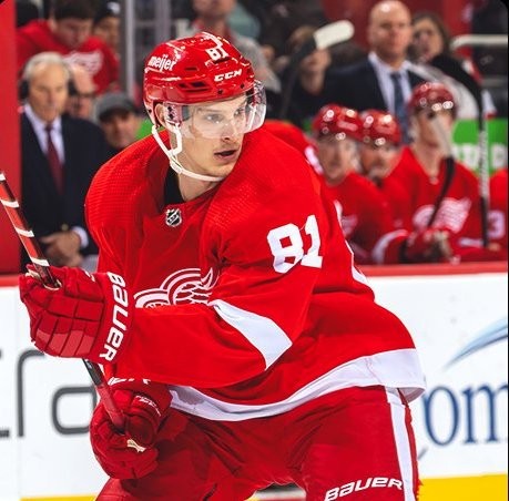 Dominik Kubalik grand artisan du succès de Detroit en ce début de saison