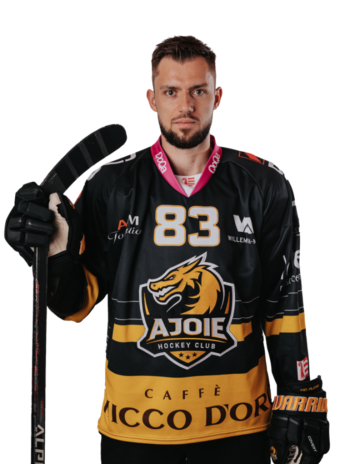 Martin Bakos incertain pour le match de ce soir