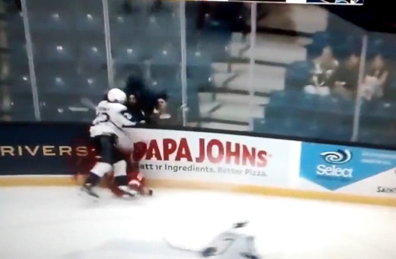 Vincent Despont suspendu deux matchs pour cette charge