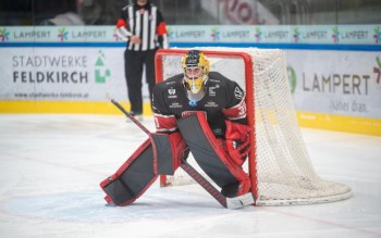 Un gardien sous contrat du côté de Viège