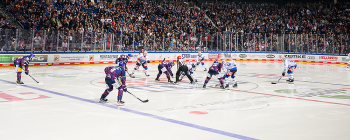 Serge Aubin et ses Ours polaires manquent pour la première fois les play-offs en 20 ans