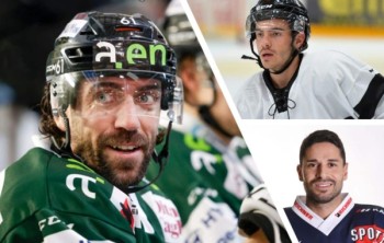 Dominic Forget continuera sa carrière à Winterthur