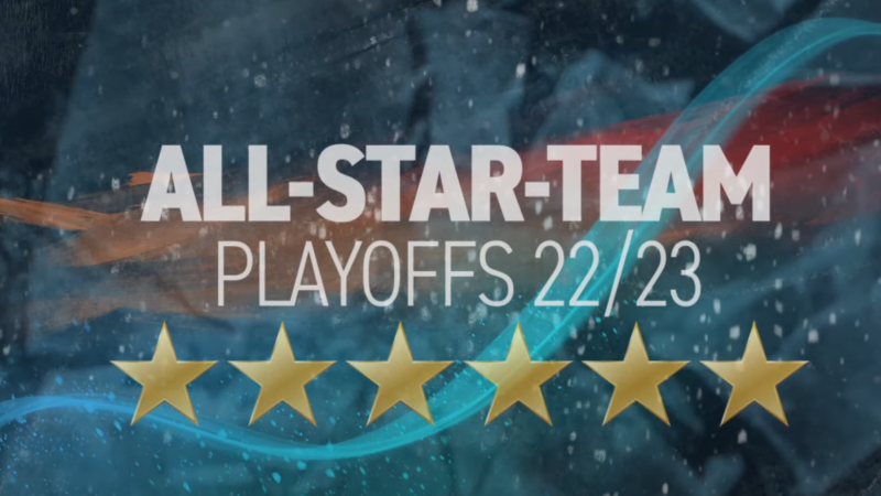 Un All Star Team des play-offs très grenat
