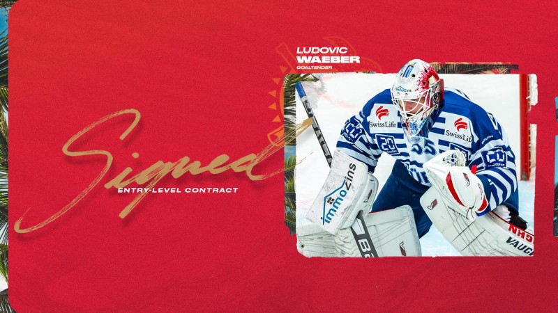 Les Panthers officialisent l'arrivée de Ludovic Waeber