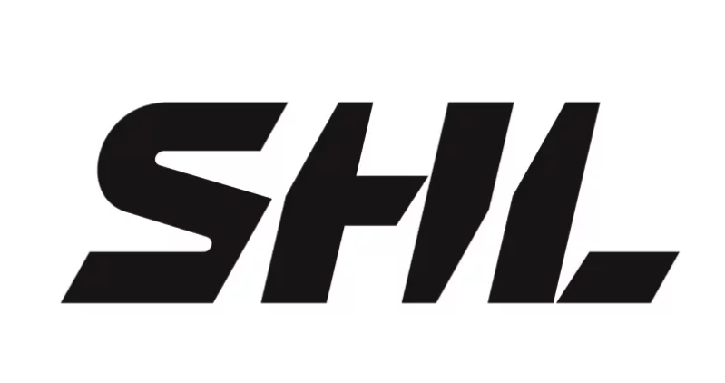 Quelques chiffres sur les salaires dans le championnat de Suède