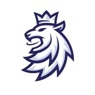 La sélection tchèque pour les Beijer Hockey Games