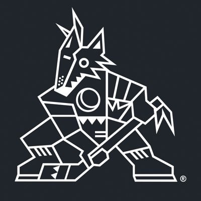 L'Arizona n'aura peut-être plus sa franchise de NHL