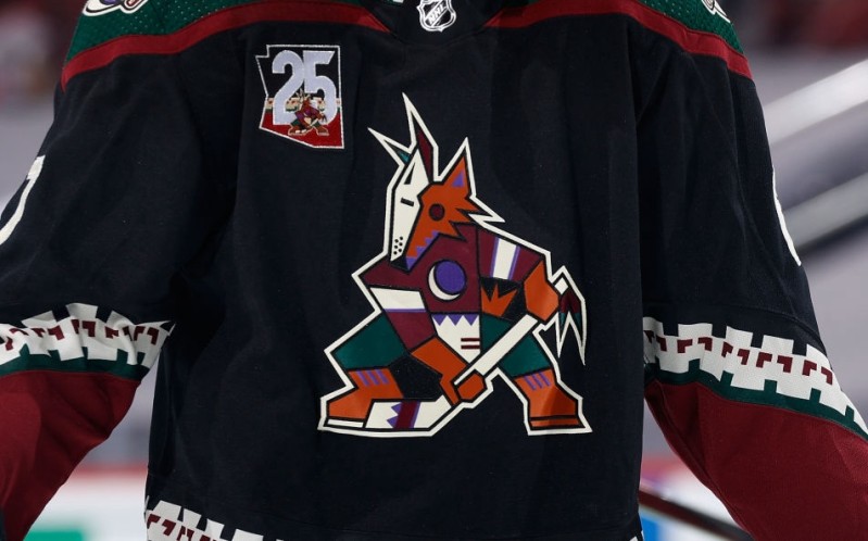 L'avenir toujours plus noir de l'équipe des Coyotes