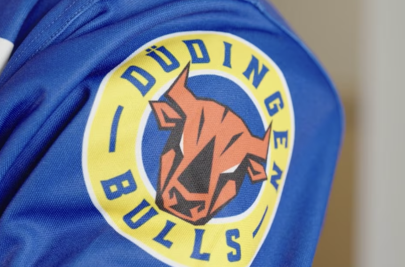 Le nouveau logo ainsi que le maillot  des Düdingen Bulls créés par l'intelligence artificielle