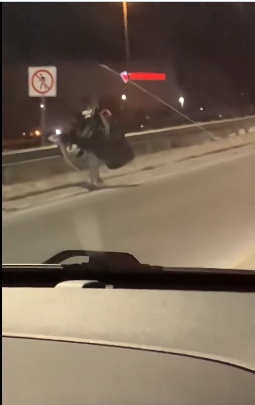 NHL : un gardien rappelé vraiment dans l'urgence