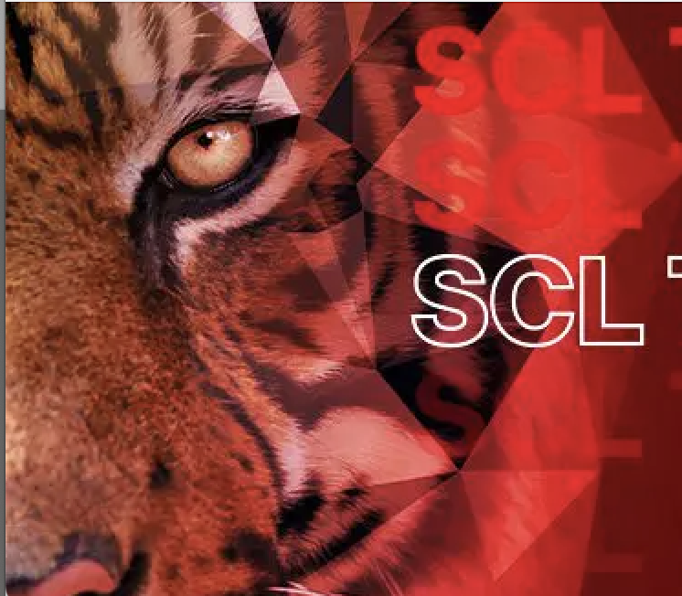 Langnau prend position après les affrontements entre fans