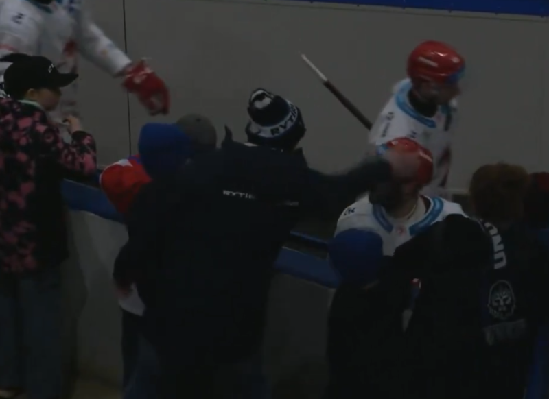 Un fan qui frappe un joueur adverse