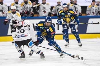 Women’s League : le point avant le début des play-ins et des play-out