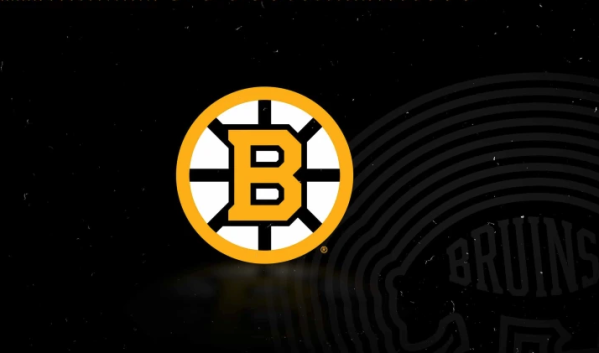 Les Boston Bruins acquierent Lukas Reichel des Canucks