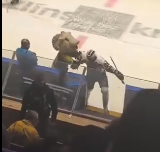 Une mascotte qui déclenche une bagarre