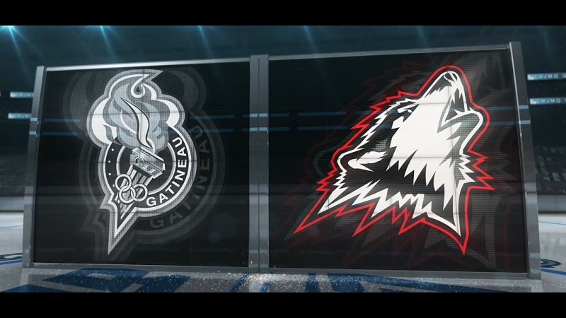 Le duo suisse des Huskies continue leur aventure en play-off