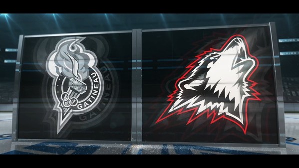 Le duo suisse des Huskies continue leur aventure en play-off