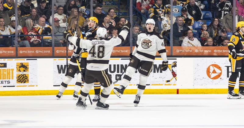 AHL : Hershey répond présent et égalise dans la série