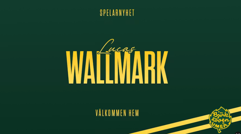 Björklöven confirme le long contrat signé avec  Lucas Wallmark