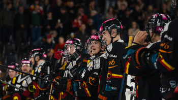 Le programme des matchs de préparation du CP Berne