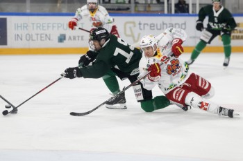 EHC Olten : le calendrier des matchs de préparation est également  dévoilé