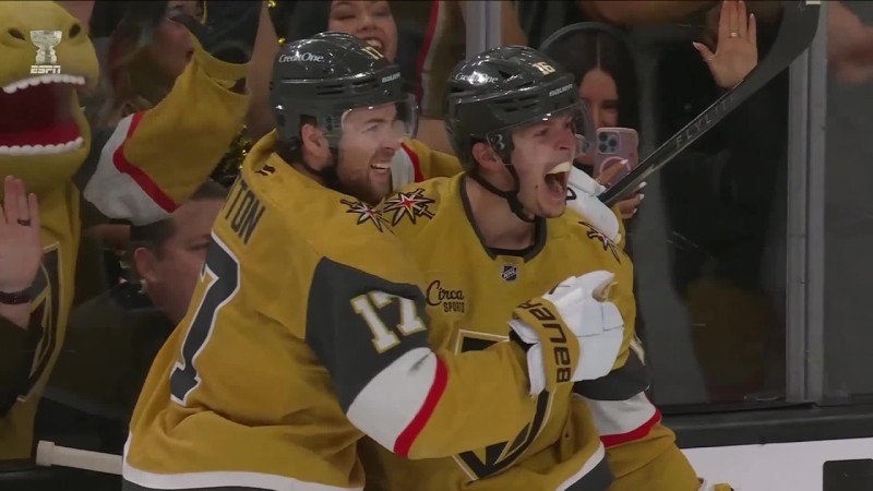 Pavel Dorofeyevs Overtime-Tor sichert Vegas den Sieg gegen Anaheim