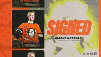 Ducks verpflichten Marcus Nordmark mit Dreijahres-Einstiegsvertrag