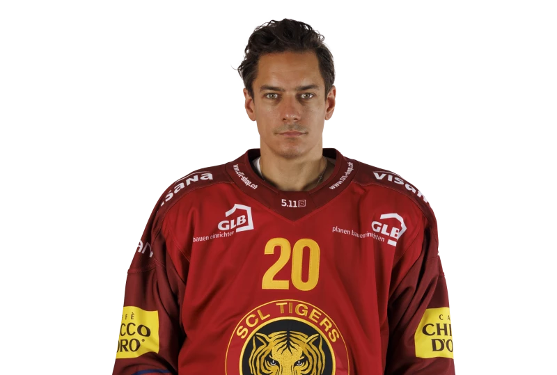 Le HV71 à l'assaut d'André Petersson