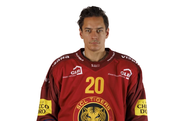 Le HV71 à l'assaut d'André Petersson
