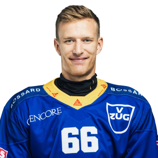 David Sklenička